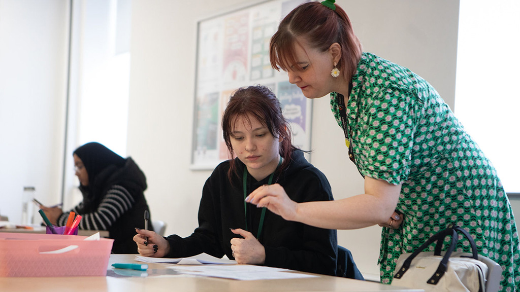 A college tutor with a student
