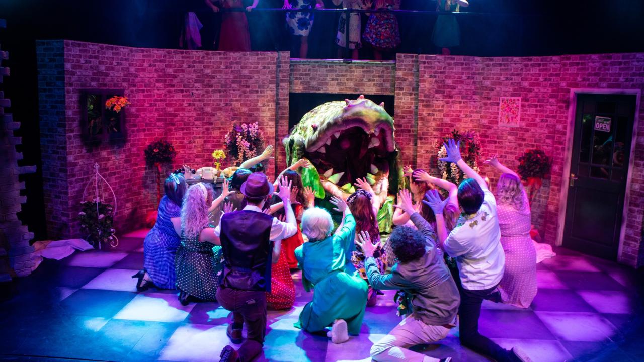 Photo from the Little Shop of Horrors theatre production