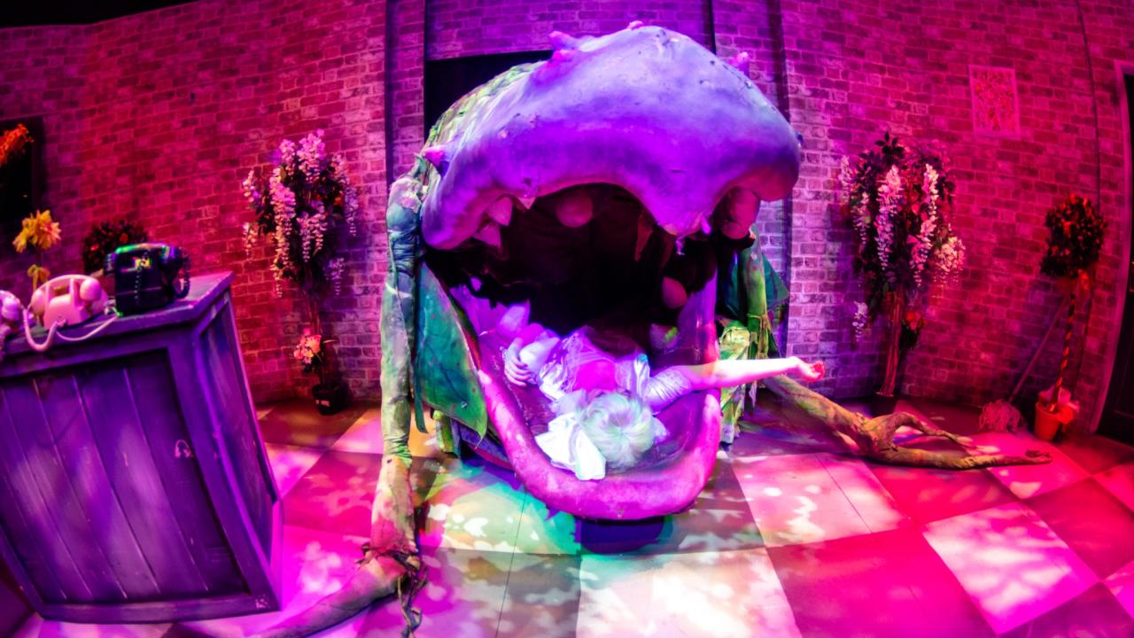 Photo from the Little Shop of Horrors theatre production