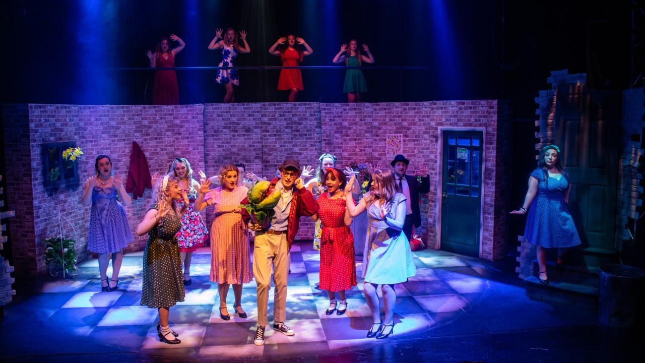 Photo from the Little Shop of Horrors theatre production